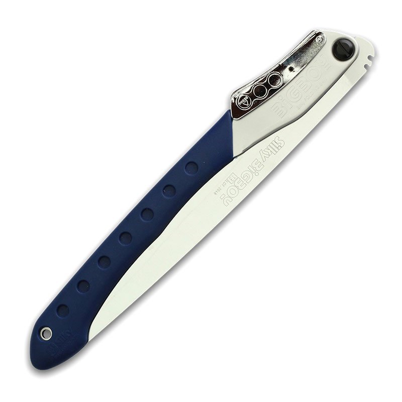 Silky Bigboy - Image 4